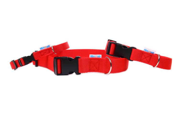 Obroża Klamra Plastikowa – Czerwona 0489 15MM 24-40CM