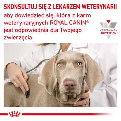 Royal Canin Veterinary Canine Gastro Intestinal 2 kg
