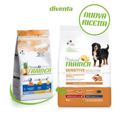 Trainer Natural Sensitive No Gluten Adult Medium/Maxi, łosoś 12 kg