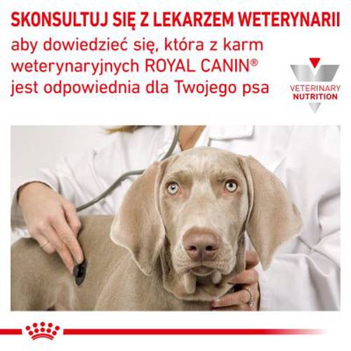 Royal Canin Veterinary Canine Diabetic  12 kg