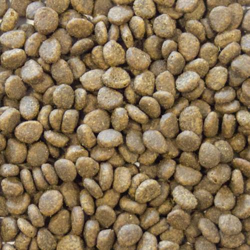 Karma sucha dla kota - Kurczak i łosoś z batatami 400g