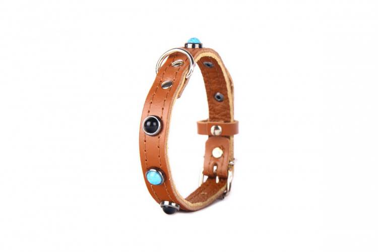 Obroża Skóra Kryształ – Brązowy 0172 12MM 31CM 23-28CM