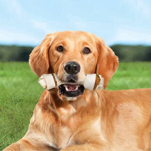 8in1 Delights Dental L, 7 x 100 g