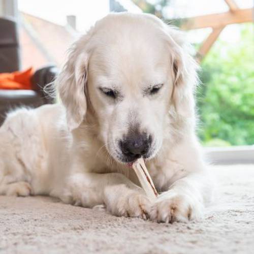 8in1 Delights pałeczki z wołowiną 9 x 25 g