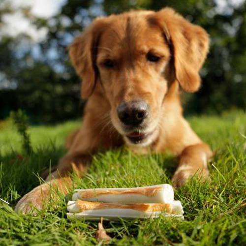 8in1 Delights pałeczki z kurczakiem 3 szt., 75 g