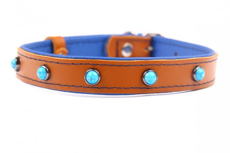 Obroża skóra Premium Kryształ - Brąz/Niebieski 1303 16MM 34CM 23-31CM