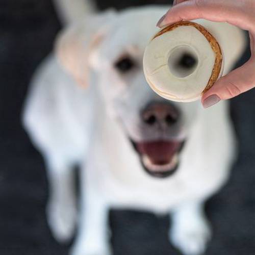 8in1 Delights kółeczka do żucia 119 g, 3 szt.