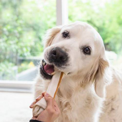 Megapakiet 8in1 Delights kości do żucia z kurczakiem M, 21 x 65 g