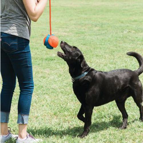 Chuckit! Rope Fetch piłka dla psa L, śr. 14 cm