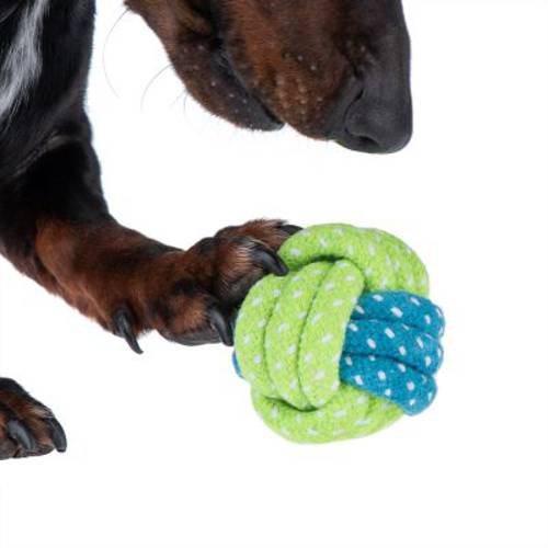 Limoen piłka zabawka dla psa ca. Ø 6 cm
