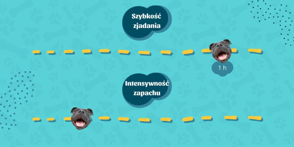 Suszone ucho wołowe z futrem