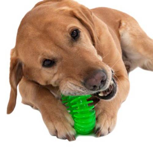 Kółko z TPR dla psa Śr. ok. 11,5 cm