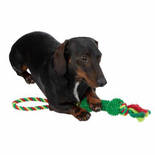 Kość z TPR ze sznurkiem, zabawka dla psa  1 szt.