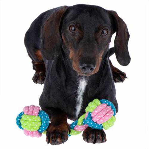 Limoen Kość sznurkowa Ø x dł.: ok. 6 x 18 cm