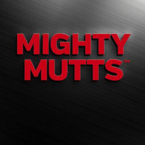 Mighty Mutts™ Tough Dog Toys gumowa kość Dł. x szer. x wys.: 32 x 9 x 4,5 cm
