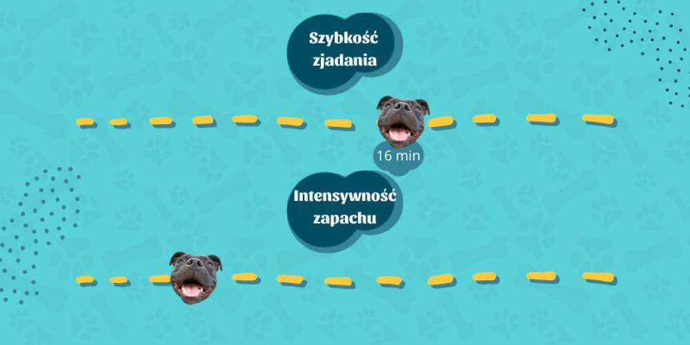 Suszone ścięgno karkowe wołowe 3 sztuki