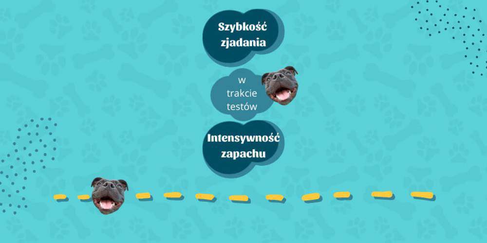 Suszone kurze łapki 10 sztuk