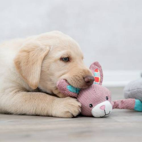 Trixie Junior zając, zabawka dla psa Ok. 28 cm