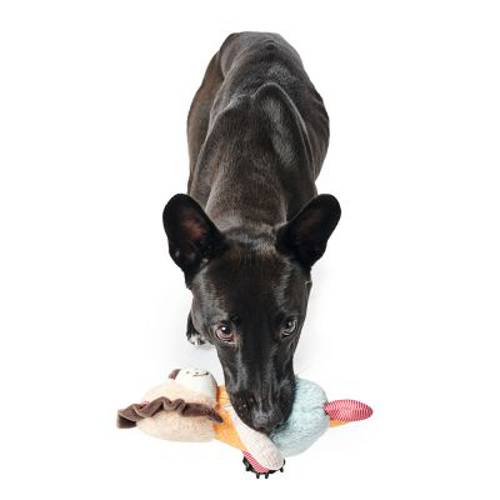 HUNTER Lew Muli, zabawka dla psa Dł. x szer. x wys.: 24 x 16 x 6 cm