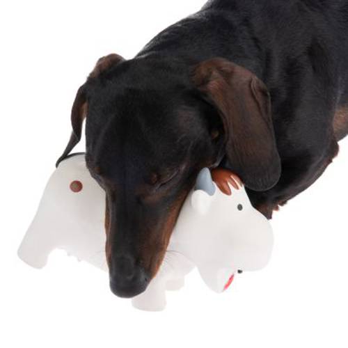 Isabella, lateksowa krowa z piszczałką 1 szt., dł. 18 cm