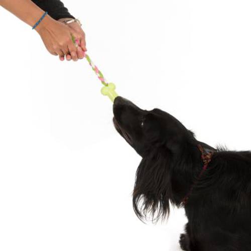 Kostka z TPR ze sznurkiem dla psa 2 szt.