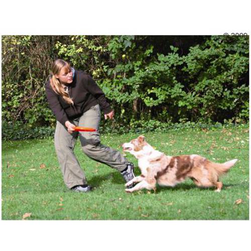 Trixie Dog Activity dysk dla psa Śr. 23 cm
