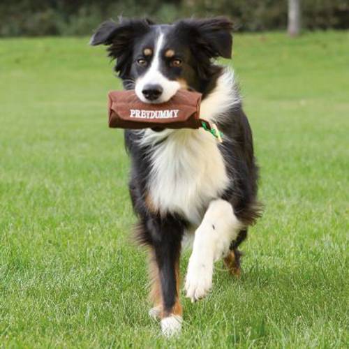 Trixie Preydummy zabawka dla psa 1 szt., brązowy