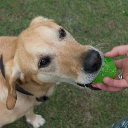 Piłka TPR z piszczałką 3 szt.