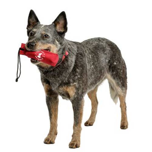 Company of Animals Canvas dummy do treningu, czerwony 1 szt.