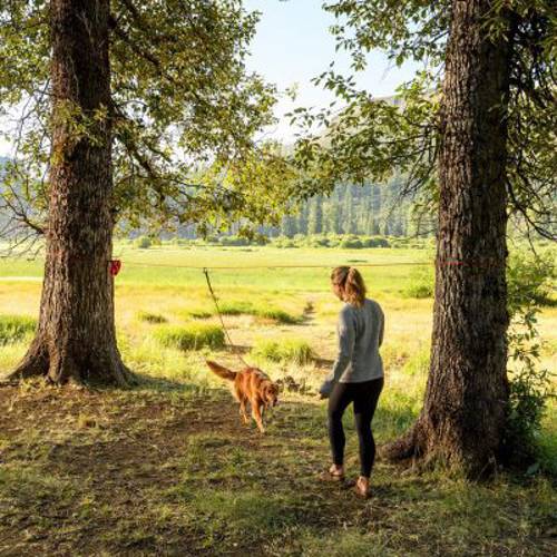 Ruffwear Knot-a-Hitch, system mocowania Czerwony