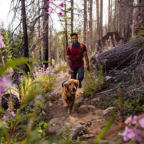 Ruffwear Switchbak Harness, szelki dla psa, ciemnoniebieskie Rozmiar M: Obwód klatki piersiowej: 69-81 cm