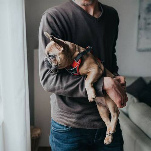 Szelki dla psa HUNTER Divo, czerwono-szare  Rozmiar S-M, obwód klatki piersiowej: 52-68 cm