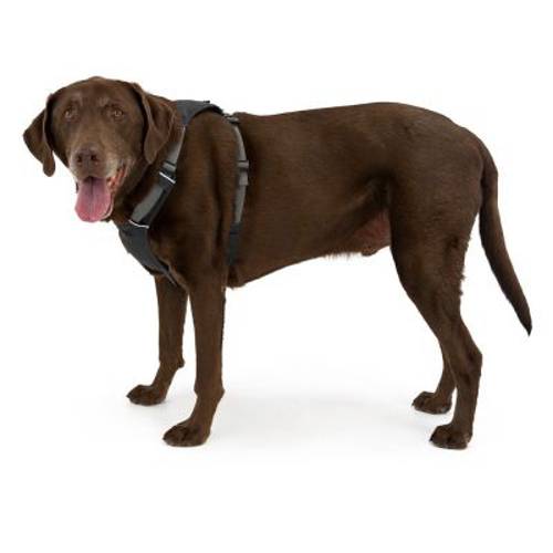 Ruffwear Hi & Light Harness, szelki dla psa, szare Rozmiar XXXS: Obwód klatki piersiowej: 23-33 cm