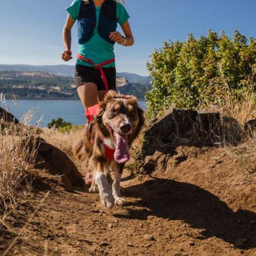 Ruffwear Switchbak Harness, szelki dla psa, czerwone Rozmiar S, obwód klatki piersiowej: 56-69 cm