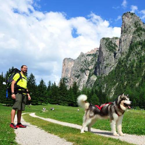 Smycz elastyczna NEEWA Dł. 160-195 cm