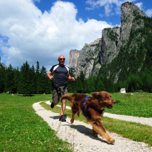 NEEWA pas do joggingu i canicrossu Obwód w pasie: do 110 cm