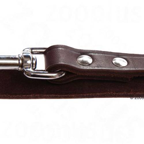 Smycz nitowana Heim potrójnie regulowana Dł. x szer.: 240 x 2 cm