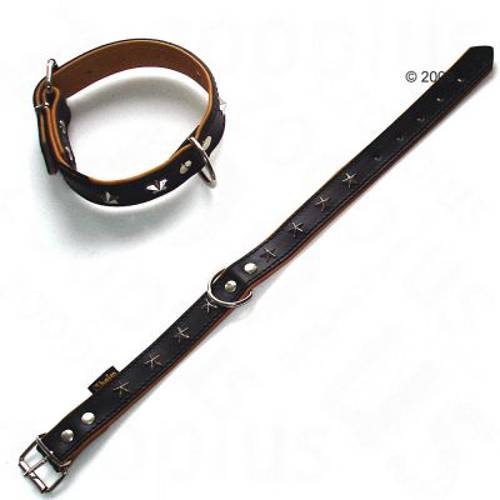 Obroża skórzana Heim Stars Obwód szyi: 38-46 cm