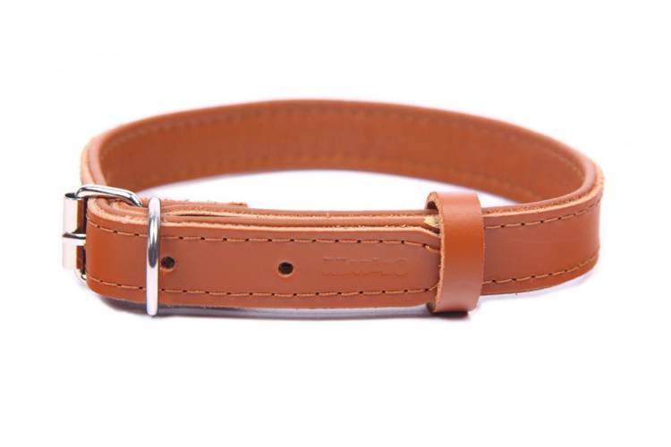 Obroża skóra Premium Brąz-Brąz 1181 14MM 31CM 23-28CM