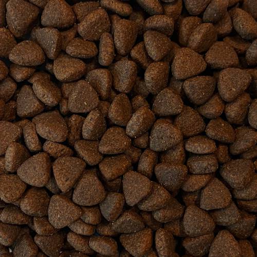 Karma sucha dla psa - Indyk z wolnego wybiegu z pietruszką, papają, pokrzywą, cukinią i dynią 2kg