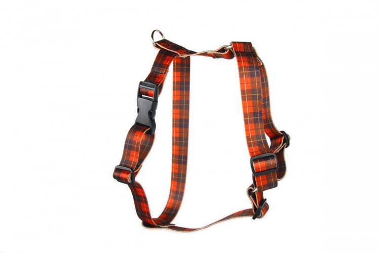 Szelki Guard - Szkocka Krata 0826 20MM 30-50CM