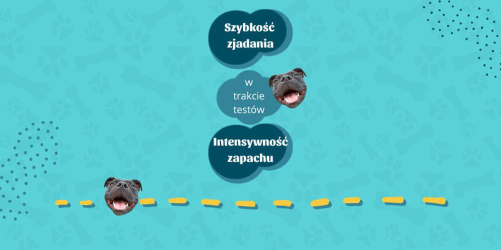 Suszony penis wołowy ok. 15cm