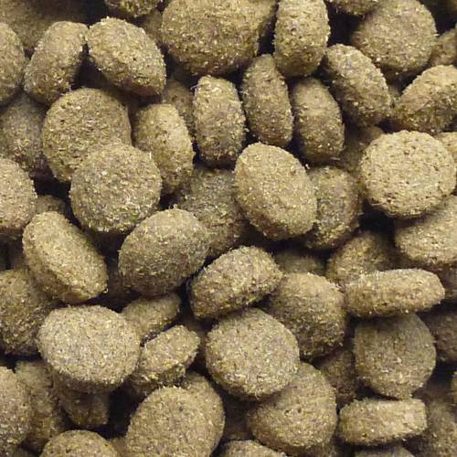 Karma sucha dla psa - Jagnięcina z ryżem 2kg