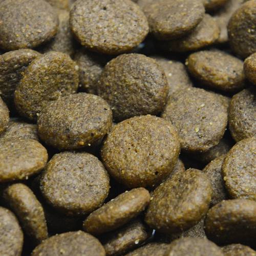 Karma sucha dla psa - Plamiak z batatami i natką pietruszki 2kg