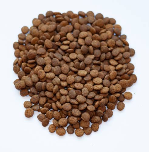 Karma sucha dla kota - Indyk i kurczak 300g