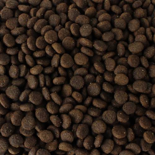 Karma sucha dla psa - Kaczka z batatami i pomarańczą 2kg