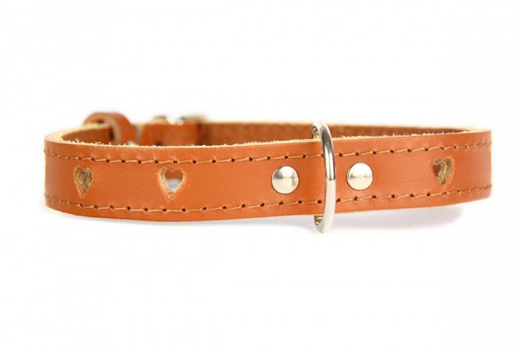 Obroża Skóra Serca  - Brązowy 0362 18MM 44CM 33-41CM