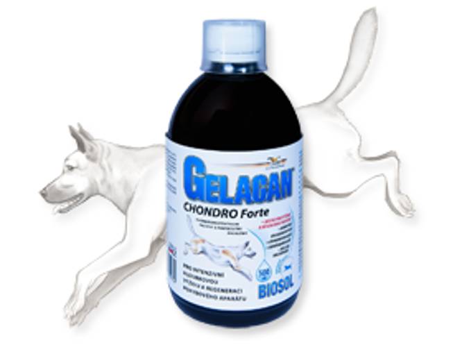 Gelacan® Chondro Forte Biosol 500 ml
