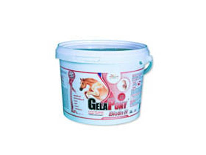 GelaPony Biotin H 600 g