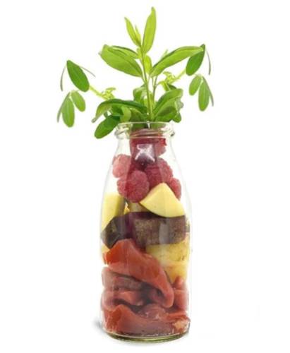 SmoothieDog Immunio 240 ml